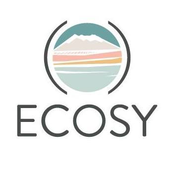logo_Ecosy